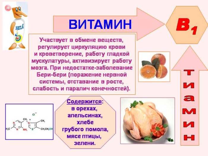 Vitamino B1 savybės